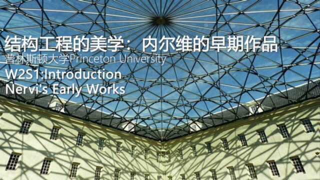 普林斯顿大学结构工程的美学:内尔维的早期作品