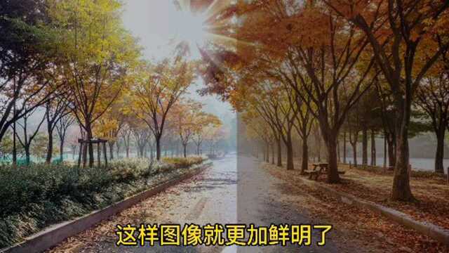 图像对比度增强,让照片更加鲜明