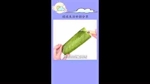 芦荟的小妙用你真的都知道吗?