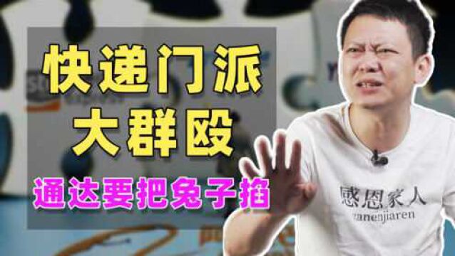 双十一临近,四通一达联手封杀极兔速递!极兔是否能躲过一劫?