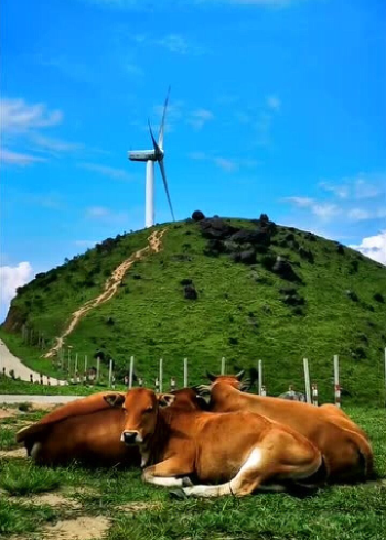 别让我一个人醉浮山岭风车山约吗路已封只能走路上去了