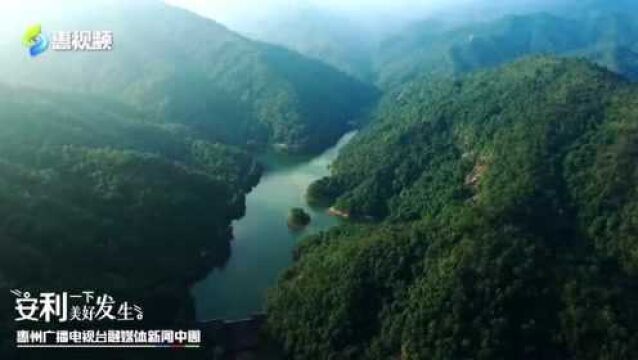 泰美:打造“象头山”品牌 绘出乡村振兴“新画卷”