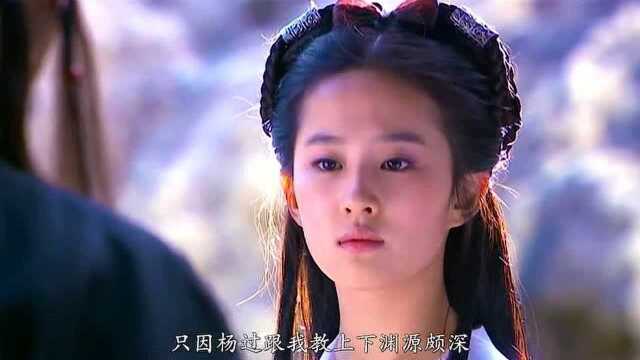 神雕侠侣,小龙女杨过相依为命,杨过拜小龙女为师