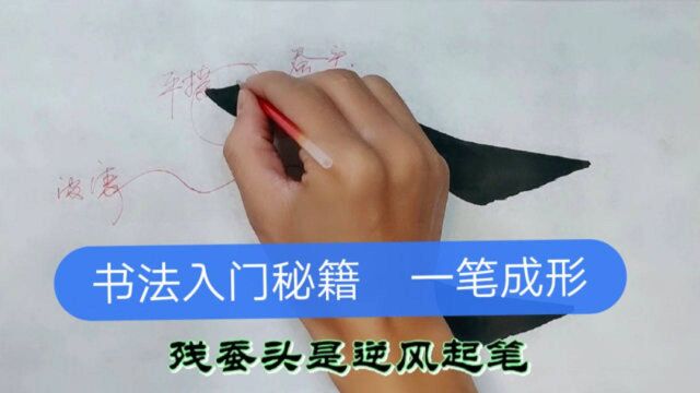 初学欧体笔画掌握这几步,书写不描不画,一笔成形