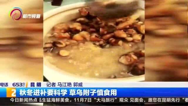 秋冬进补要科学 草乌附子慎食用