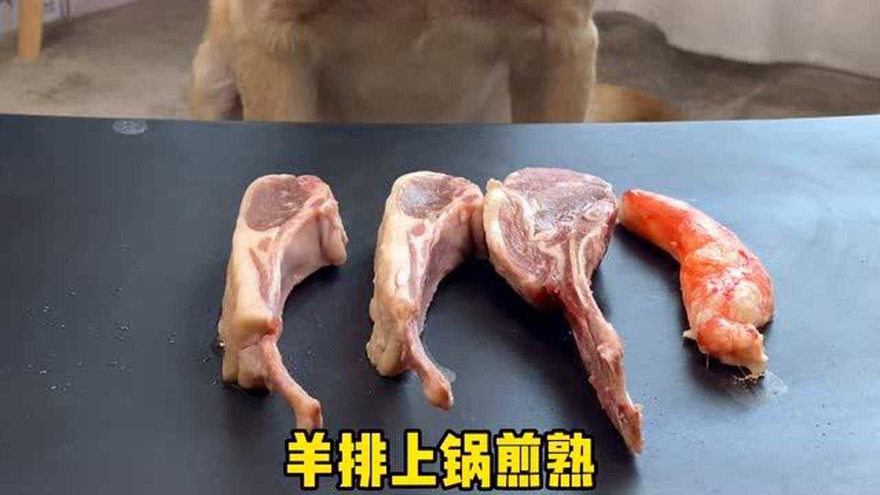 自动连播02:00狗狗炫耀新鞋子,还要抢裙子穿,结果被丑到自闭小煌煌01