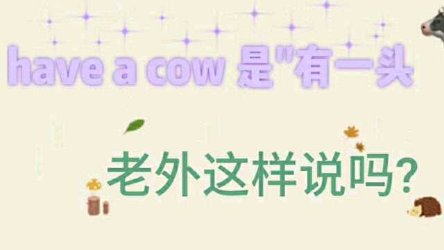 老外说的have a cow是有一头牛?别翻译错了