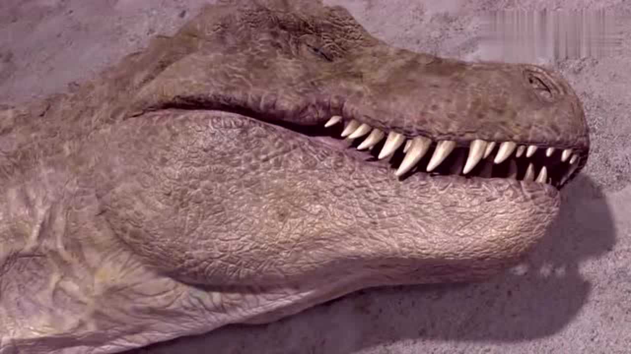 特暴龙:妻子因伤而逝,为了孩子,勇突重围,这是斑大师吗