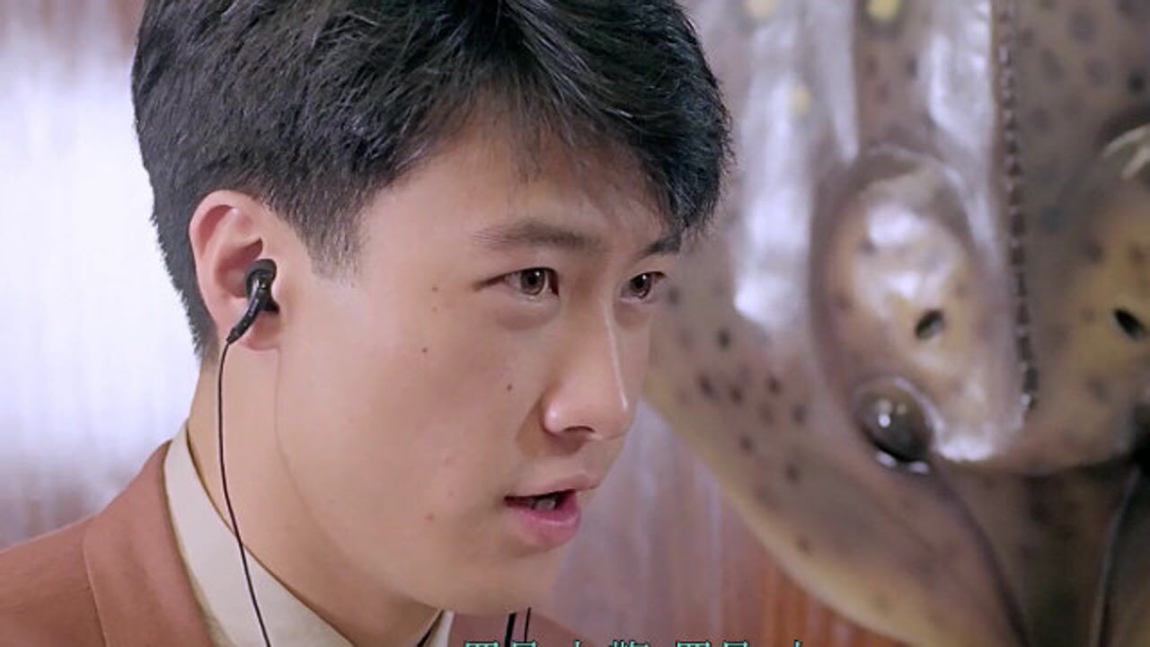 电影神算,税务局上门查税,黎明误打正着差点立功