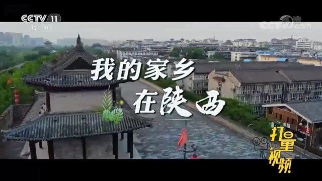 李小锋深情演唱《我的家乡在陕西》表达对陕西热爱之情