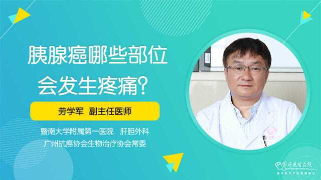 提醒:这些部位的疼痛,建议查一下胰腺,胰腺癌或许“找上”你