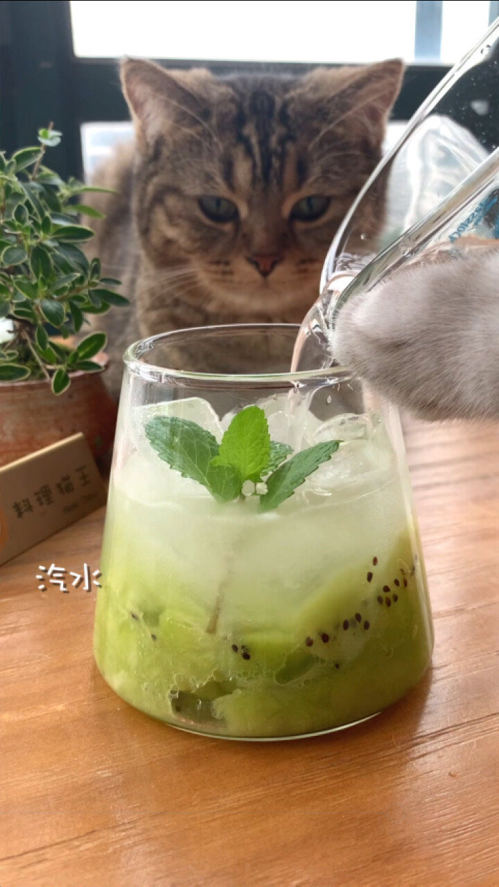 料理猫王做的饮料图片