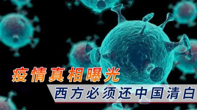 病毒源头弄清楚了?德国科学家曝光真相,这次必须还中国清白