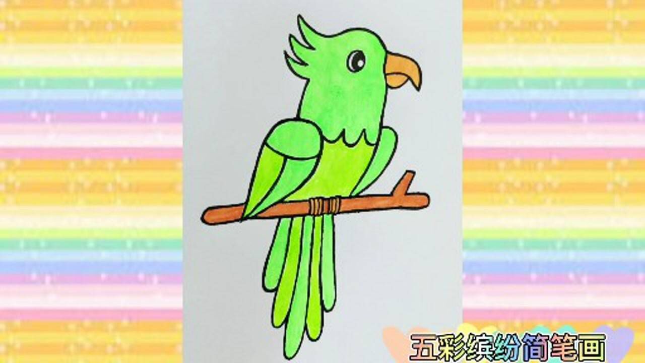 可爱的小鹦鹉简笔画图片