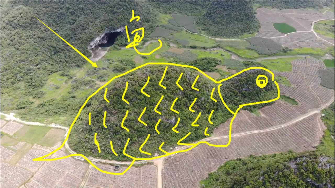 一只乌龟栩栩如生生龙活虎真是个不多得的风水宝地