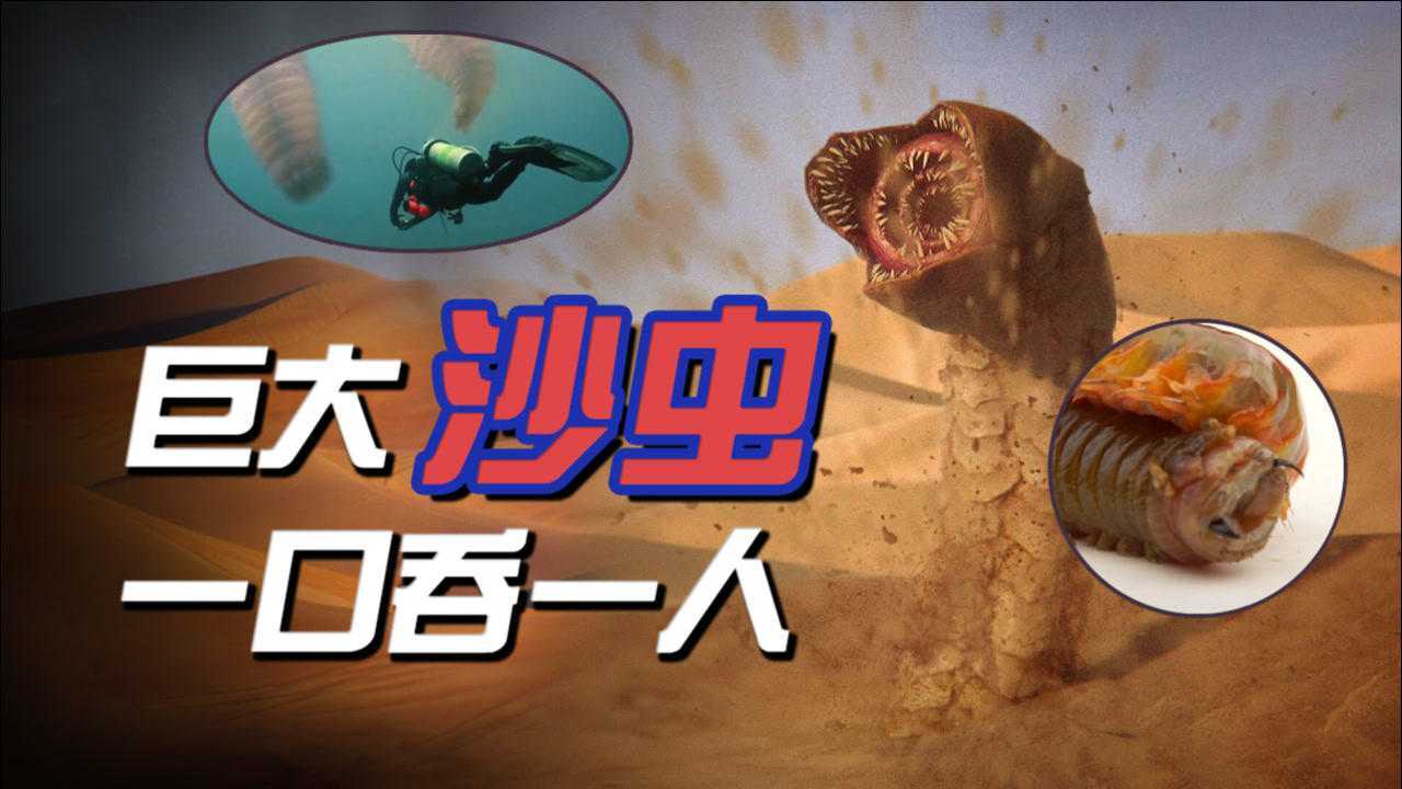 巨型沙虫现场一口一个人类无法破开肠子就只能成为香料粪