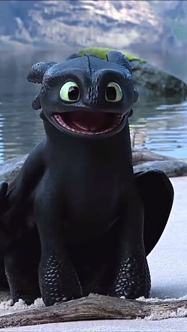 驯龙高手,可爱的无牙仔追女朋友,场面极其温馨