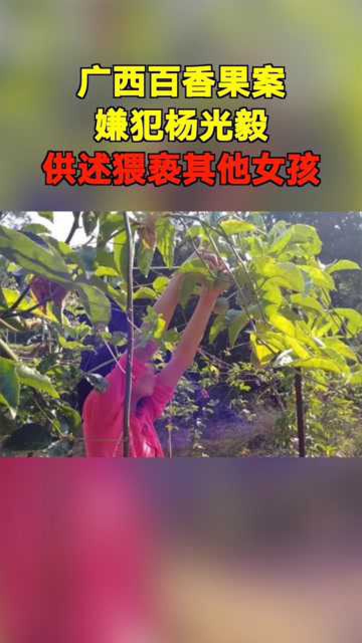 广西百香果女童案庭前会议现新案情杨光毅供述曾猥亵其他女孩