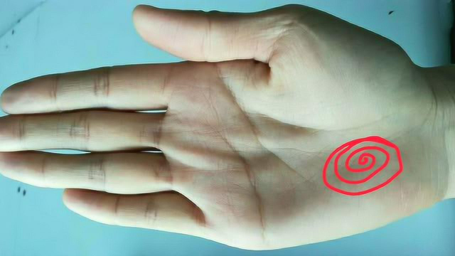 富贵纹路宝晕纹富贵不愁财源不断