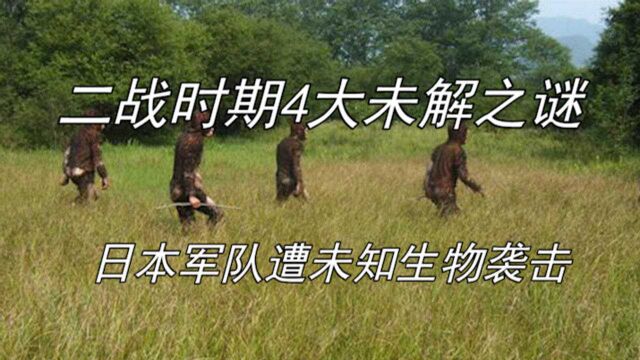 二战时期4大未解之谜,日本军队遭未知生物袭击,专家:确实存在过