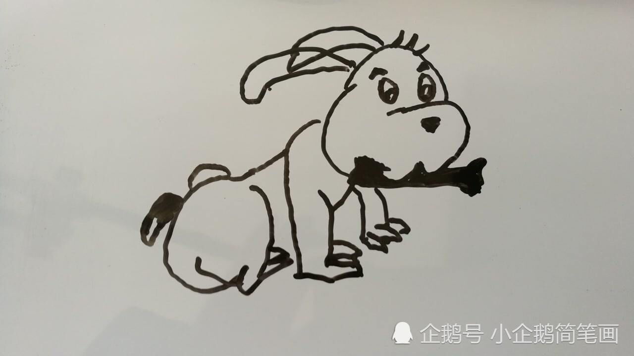 咬骨头的小狗简笔画