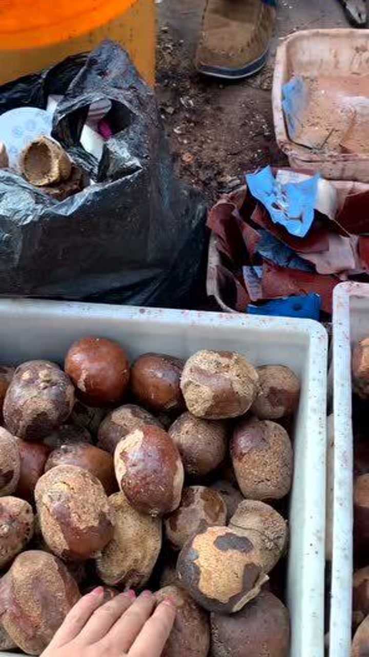 小姐姐花两百块钱开的"佛心果",竟然价值三千?