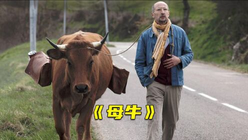 大叔为了节省路费，牵着一头母牛，步行横穿法国