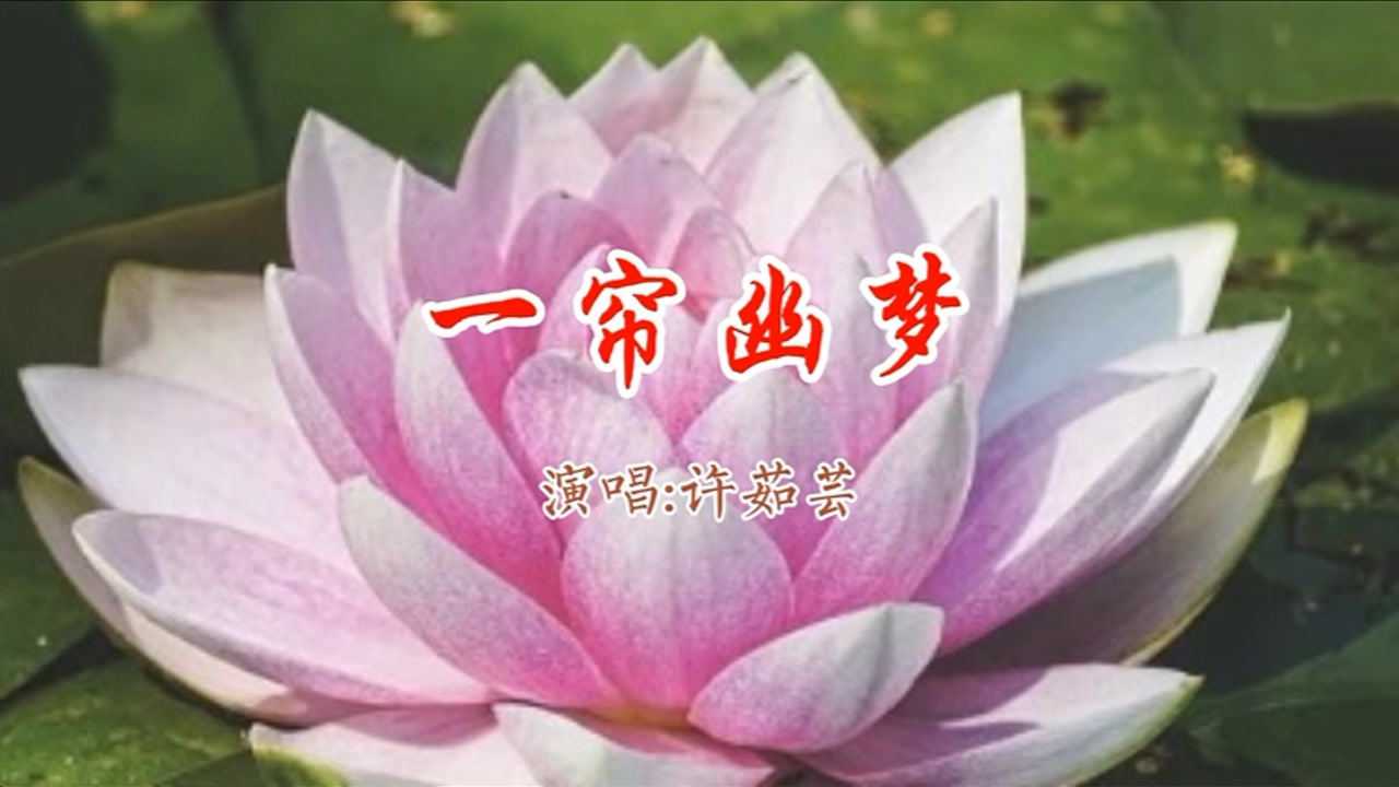《一帘幽梦》歌词如诗如画,许茹芸的歌声细腻甜美,回味无穷!