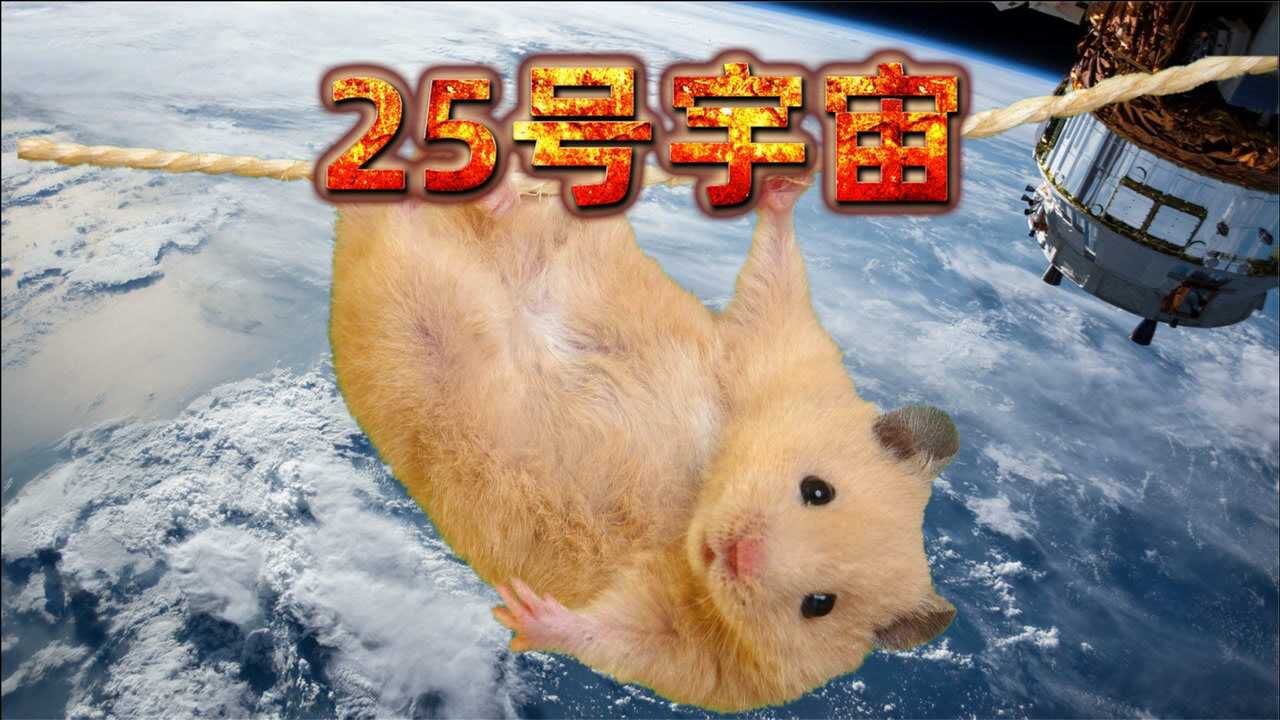 25号宇宙实验老鼠乌托邦的崩坏人类会不会步其后尘呢