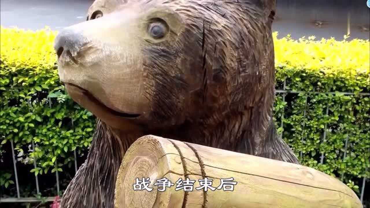 军史上唯一拥有军衔的英熊纪录片二战名熊沃铁传奇