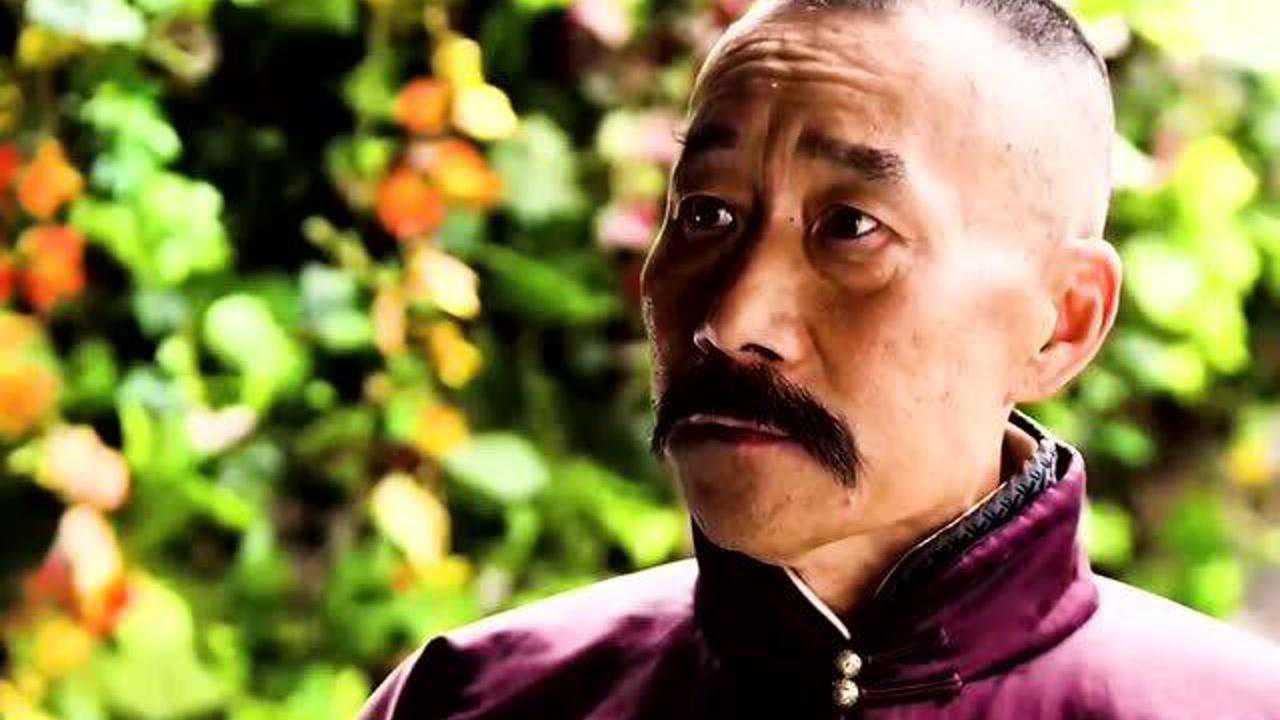 汤二虎要当出头鸟,又二又虎.#少帅#李雪健