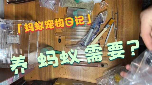 越来越多人喜欢养蚂蚁当宠物,楼主网购一堆配件竟然还不够用