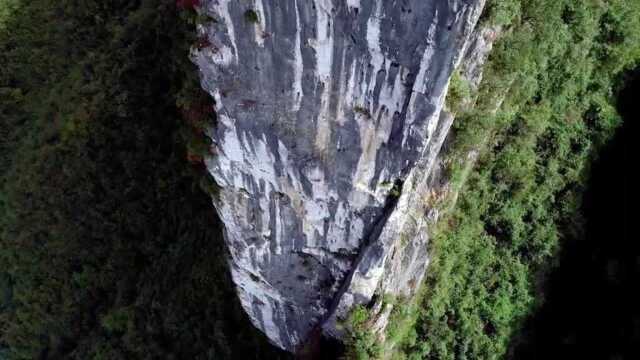 城口九重山国家森林公园,山高水清,大家可以自驾去旅游