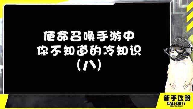 【CODM】99%的人不知道的CODM冷知识!(八)