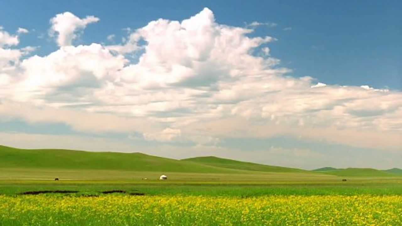 2020年最火的的歌曲《可可托海的牧羊人》