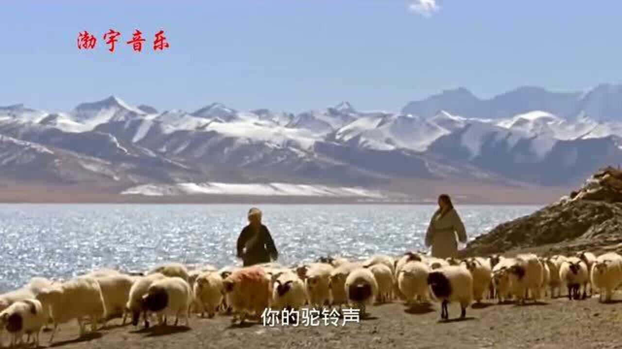 王琪一首歌曲可可托海的牧羊人听完你会单曲循环