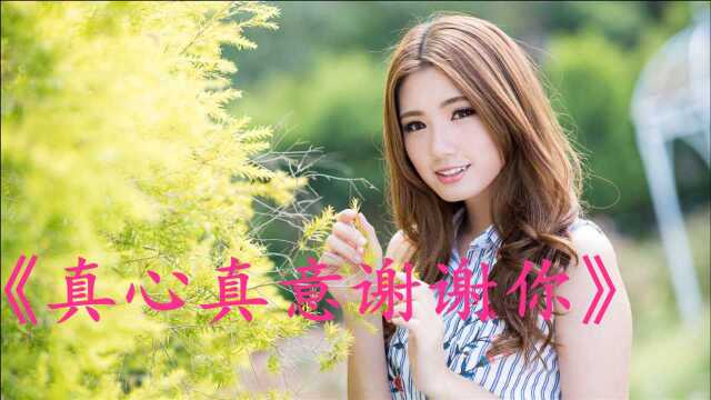 经典老歌:《真心真意谢谢你》宁静悠远,婉转低沉