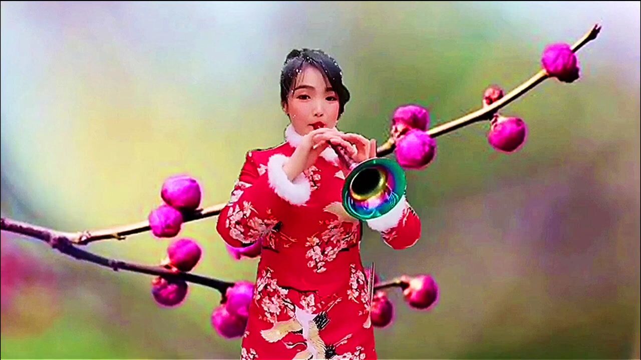 美女吹奏嗩吶《紅梅贊》,太好聽啦!_騰訊視頻