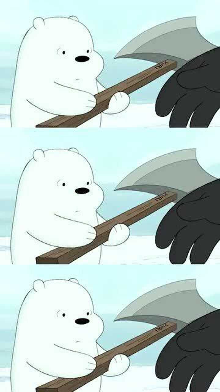 三只裸熊,白熊的成长历程,这也太励志了吧