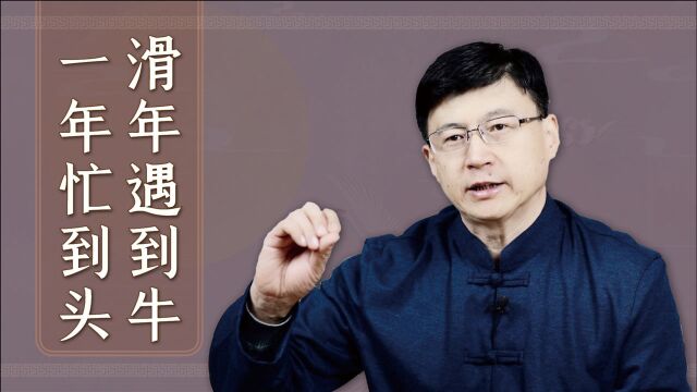 “滑年遇到牛,一年忙到头”,什么是滑年?年运又如何呢?