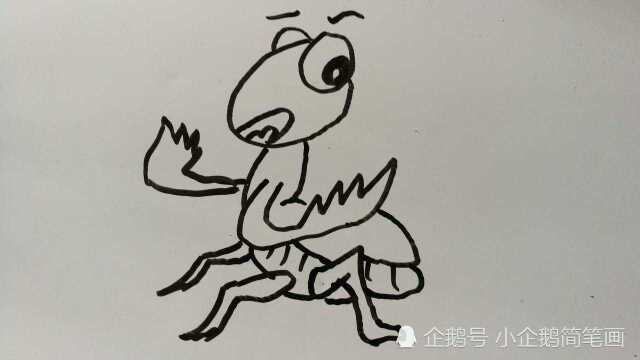 小螳螂简笔画