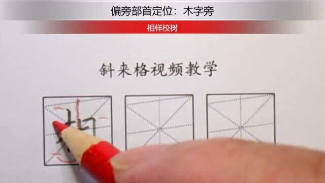 斜来格,让孩子快速写好字!偏旁部首定位:相样校树的写法