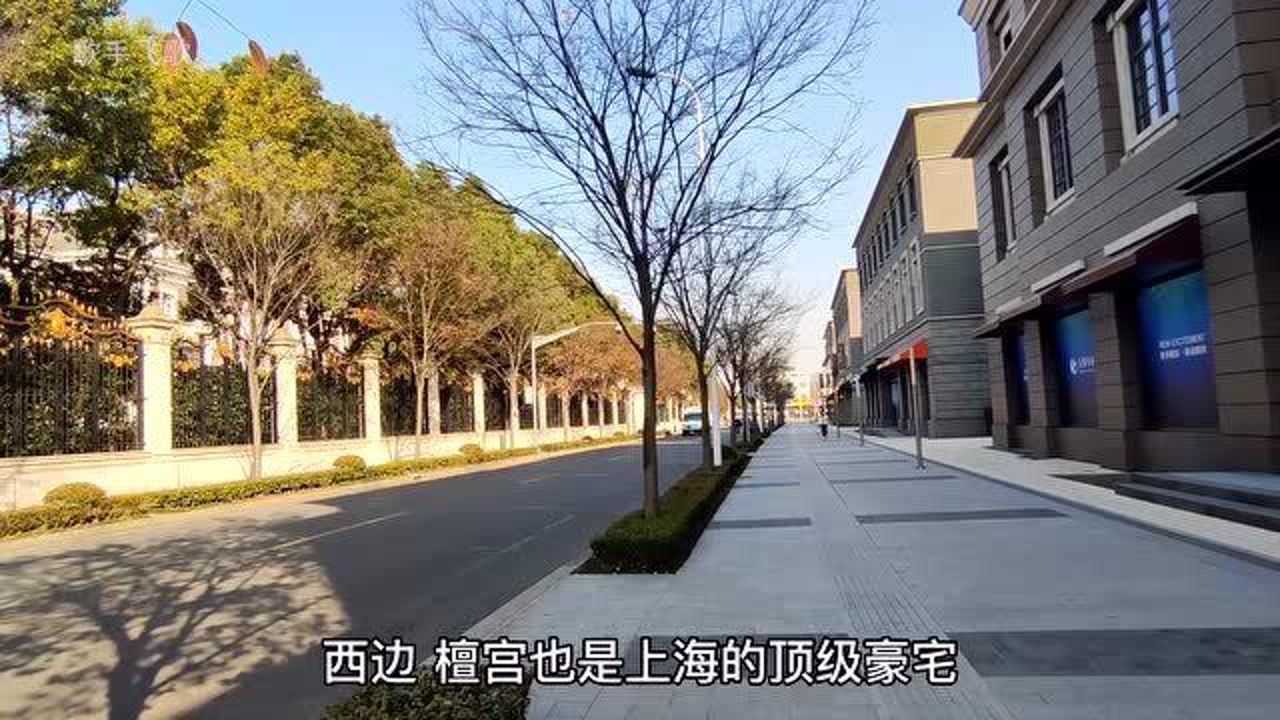 汤臣案详情图片