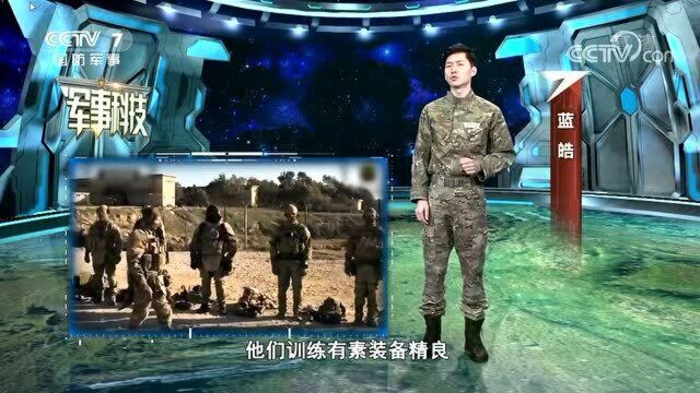 特种部队,特种反恐作战部队“阿尔法“小组