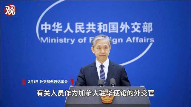 加驻华外交官定制“武汉蝙蝠”文化衫?外交部回应