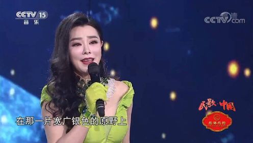 钟丽燕实力演唱《小路》，歌声充满魅力，太好听了