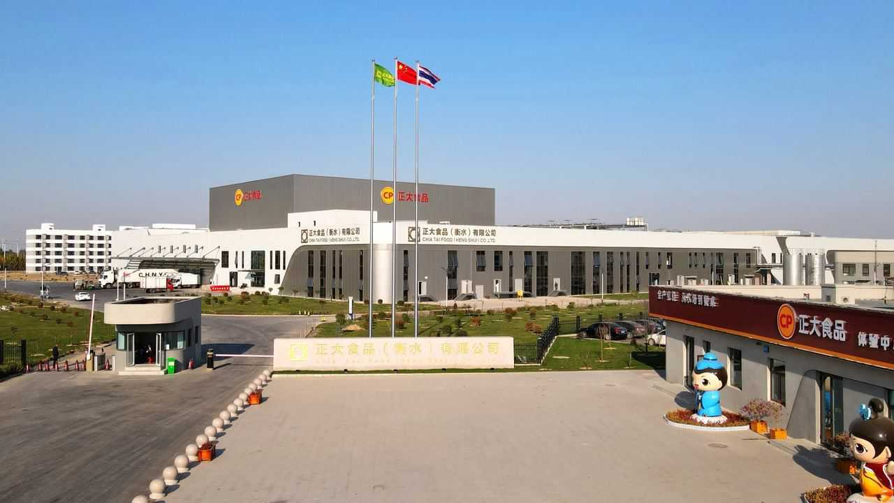 正大食品衡水有限公司宣传片
