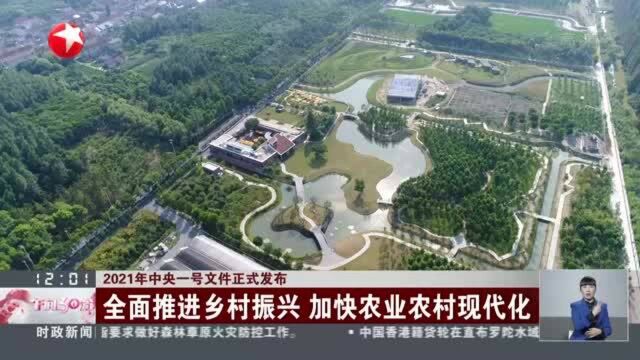 2021年中央一号文件正式发布:全面推进乡村振兴 加快农业农村现代化