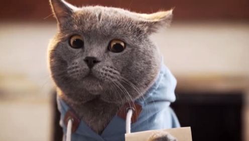 世界上最听话的猫_05_少儿_动画片大全_腾讯视频