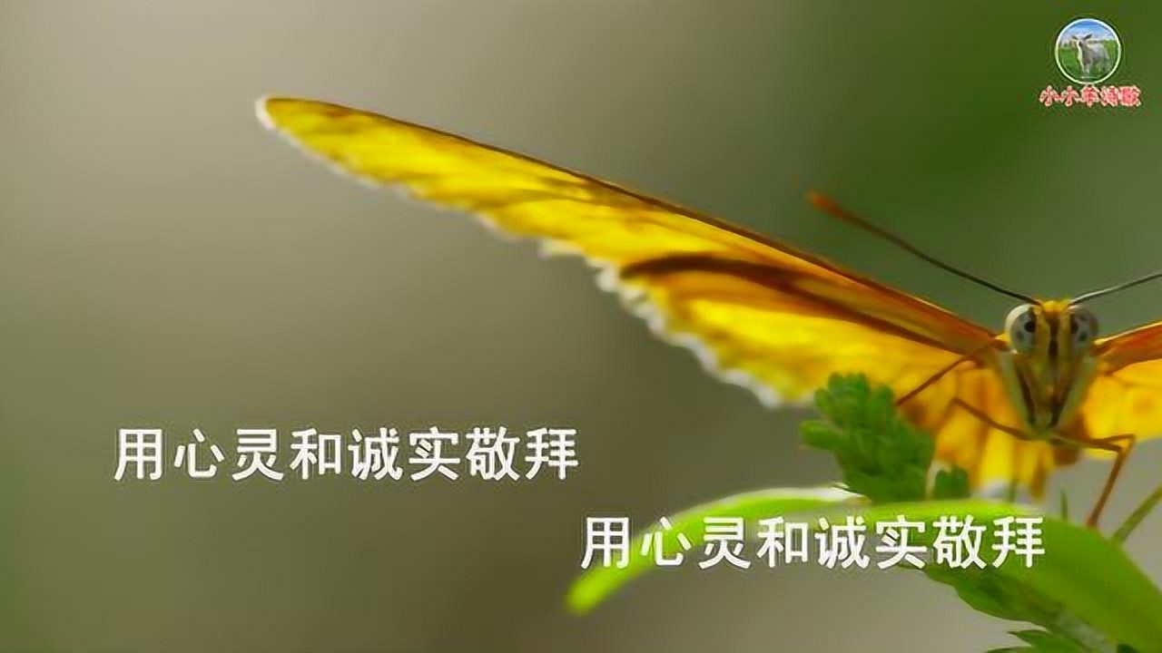 小小羊诗歌:用心灵和诚实敬拜